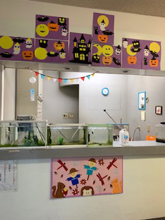 ハッピーハロウィーン